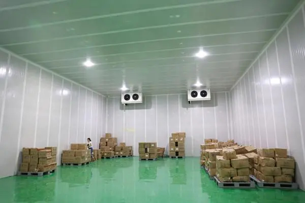 大型物流冷庫工程施工方案設(shè)計規(guī)范標準