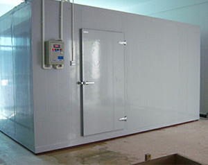100噸保鮮冷庫造價多少