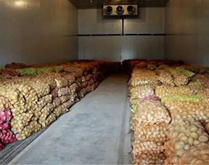 建造存放5000噸冷庫(kù)工程造價(jià)多少錢，板栗溫度要求多少