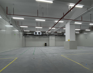 60平方氣調(diào)冷庫造價多少錢？總立方在360立方米氣調(diào)庫價格