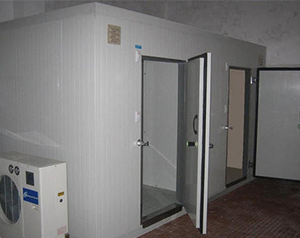 湖北大中型肉品冷庫建造需要什么條件？style=