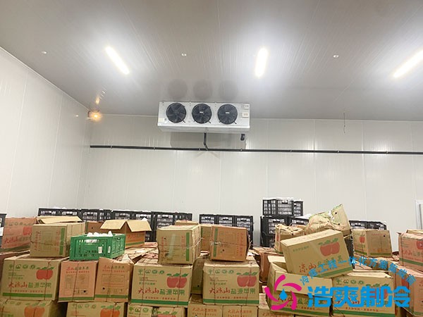 建一個水果冷庫需要多少錢？