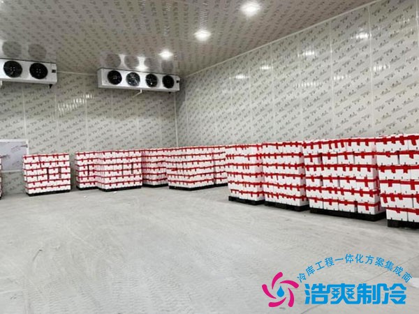 土豆保鮮冷庫造價