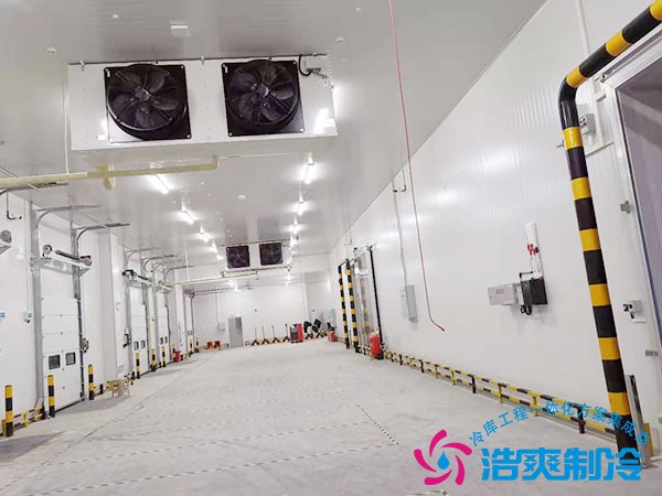 建造一個(gè)大型冷鏈倉儲投資明細(xì)