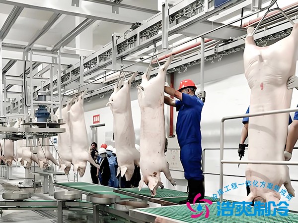 建造年產(chǎn)量為10萬頭的生豬屠宰場冷庫造價
