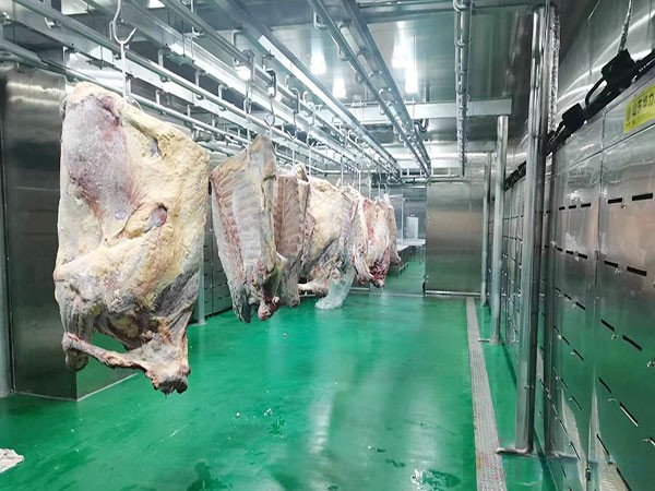 牛羊肉批發(fā)冷庫