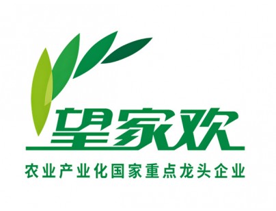 深圳望家歡智慧產(chǎn)業(yè)園一期大型食品冷庫(kù)建造工程案例