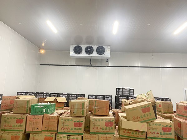 水果冷庫建造