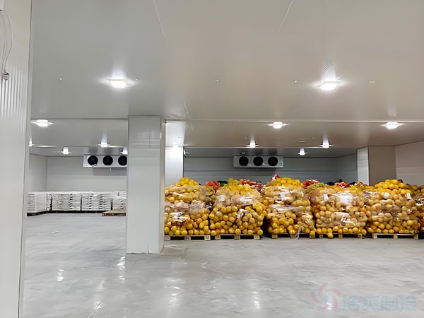 500噸冷庫建設