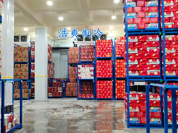 氣調(diào)冷庫(kù)建設(shè)