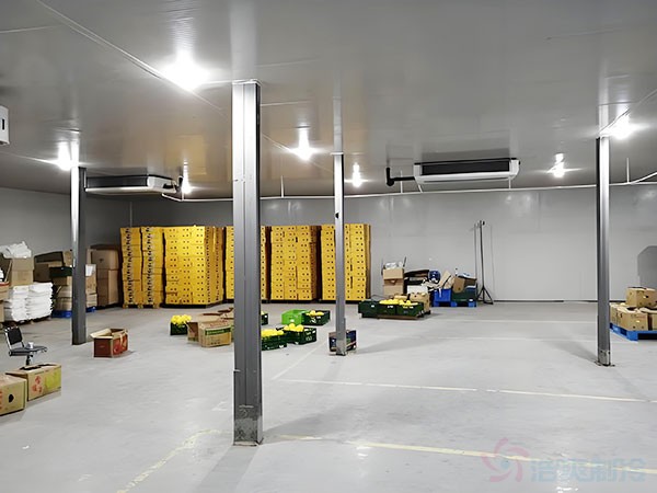 烏茲別克斯坦冷庫(kù)建造指南：撒馬爾罕小型冷庫(kù)規(guī)劃要點(diǎn)