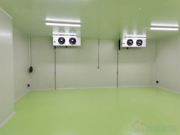 體外診斷試劑冷庫建設(shè)要求與溫控管理要點