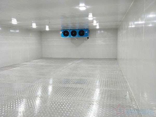藥品儲存冷庫溫度范圍標準及設計要求