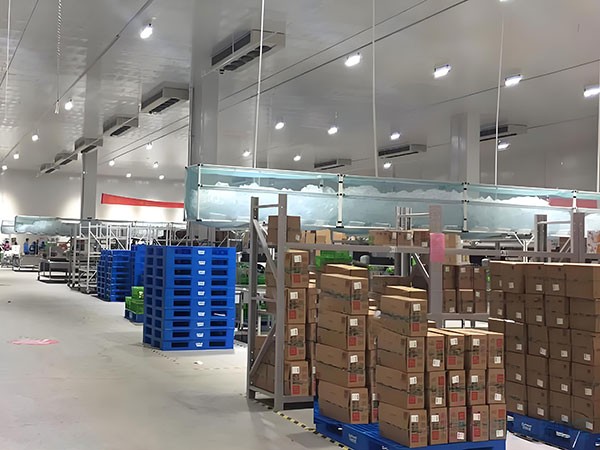 食品冷庫安裝設(shè)計資質(zhì)要求：施工許可、消防報審與竣工驗收要點